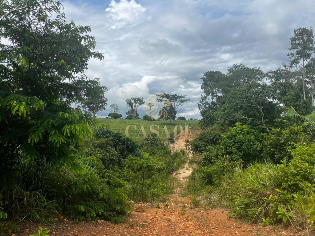 commercial-/-agricultural-area-rural-cacoal-ro