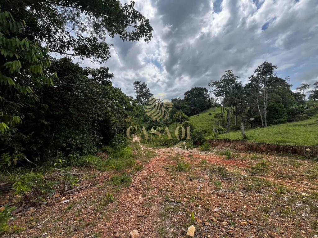 commercial-/-agricultural-area-rural-cacoal-ro