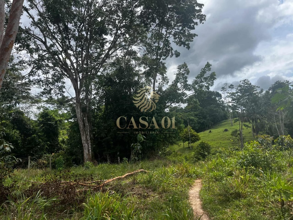 commercial-/-agricultural-area-rural-cacoal-ro
