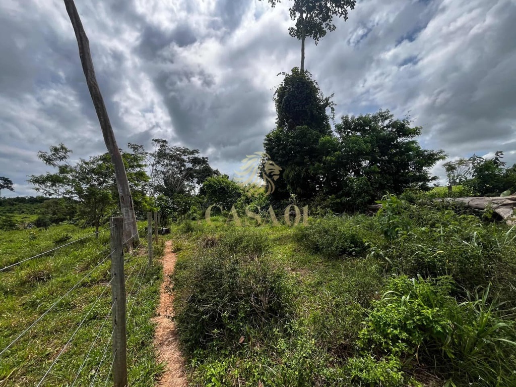 commercial-/-agricultural-area-rural-cacoal-ro