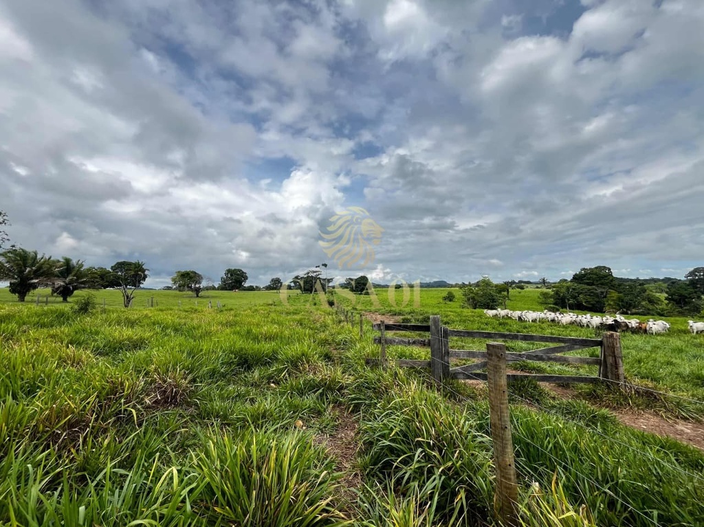 commercial-/-agricultural-area-rural-cacoal-ro