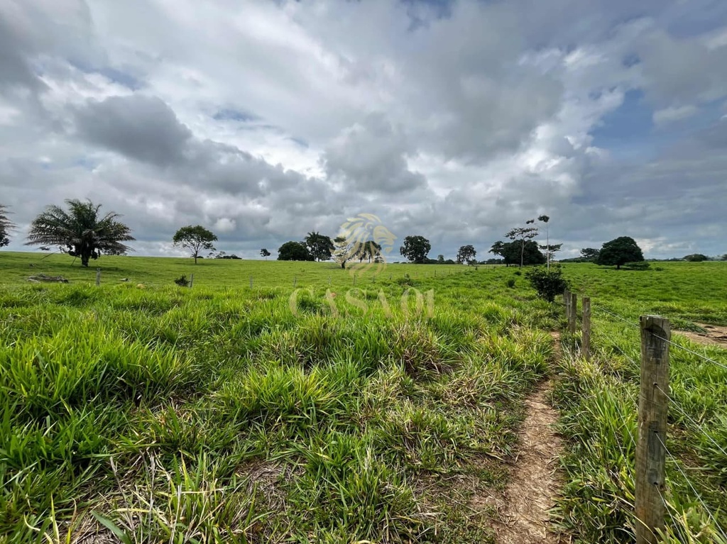 commercial-/-agricultural-area-rural-cacoal-ro