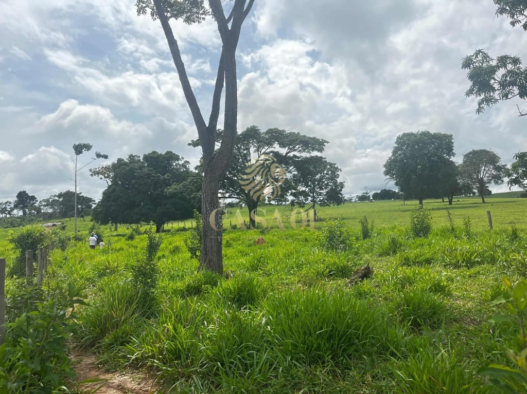 commercial-/-agricultural-area-rural-cacoal-ro