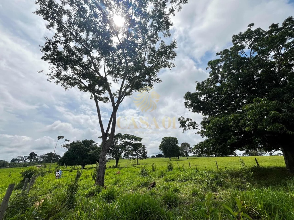 commercial-/-agricultural-area-rural-cacoal-ro