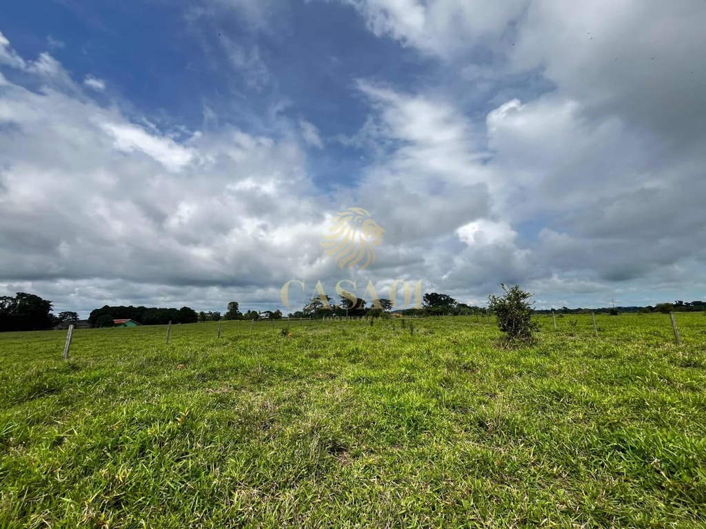 commercial-/-agricultural-area-rural-cacoal-ro