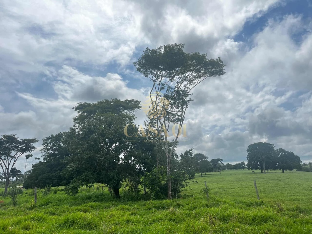 commercial-/-agricultural-area-rural-cacoal-ro