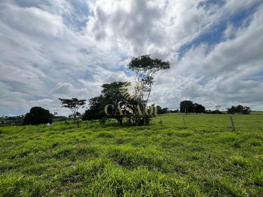 commercial-/-agricultural-area-rural-cacoal-ro