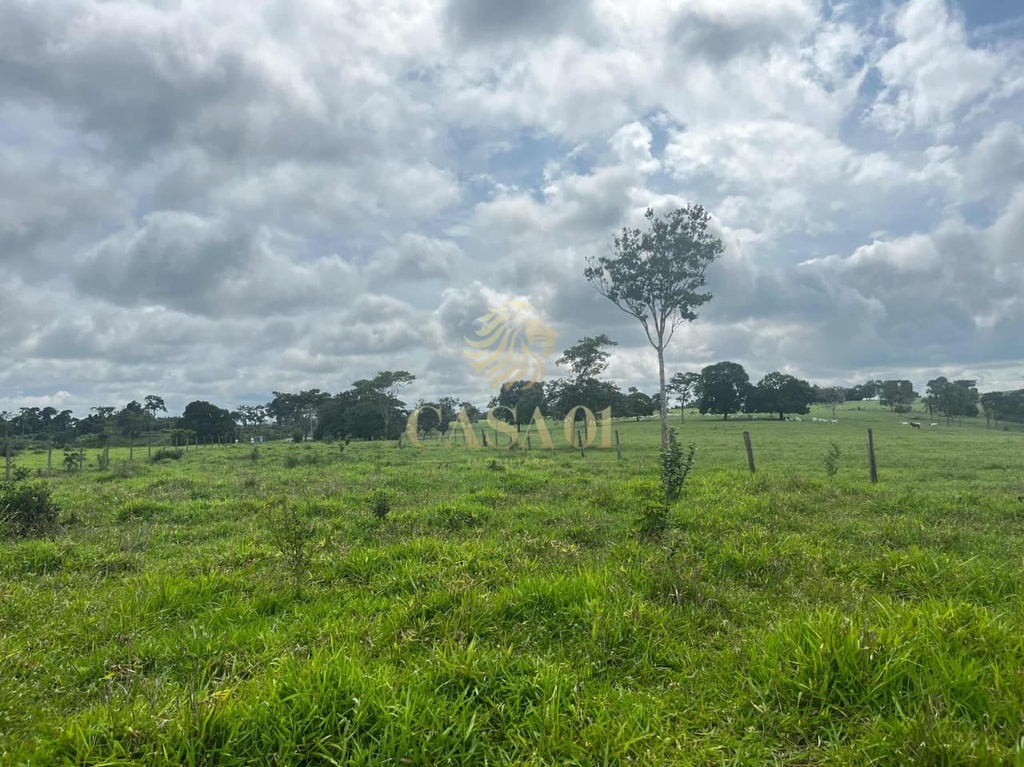 commercial-/-agricultural-area-rural-cacoal-ro