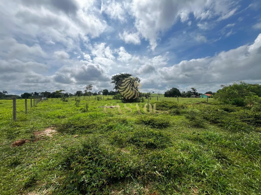 commercial-/-agricultural-area-rural-cacoal-ro