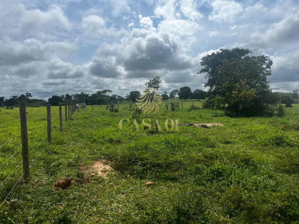 commercial-/-agricultural-area-rural-cacoal-ro