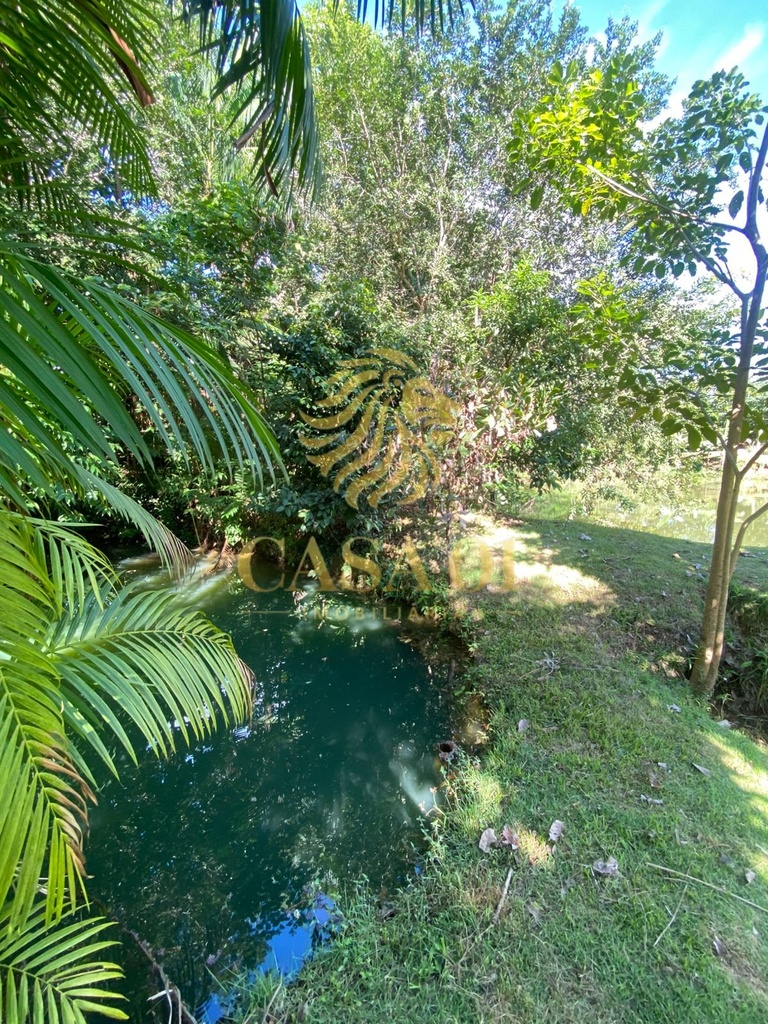 commercial-/-agricultural-2-quartos-area-rural-cacoal-ro