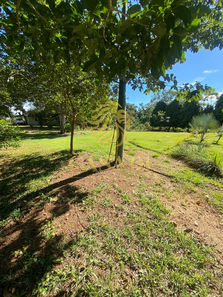 commercial-/-agricultural-2-quartos-area-rural-cacoal-ro