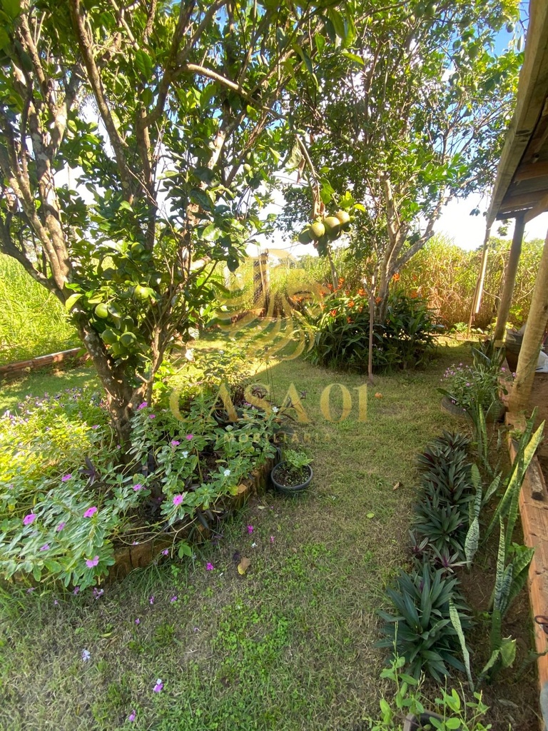 commercial-/-agricultural-2-quartos-area-rural-cacoal-ro