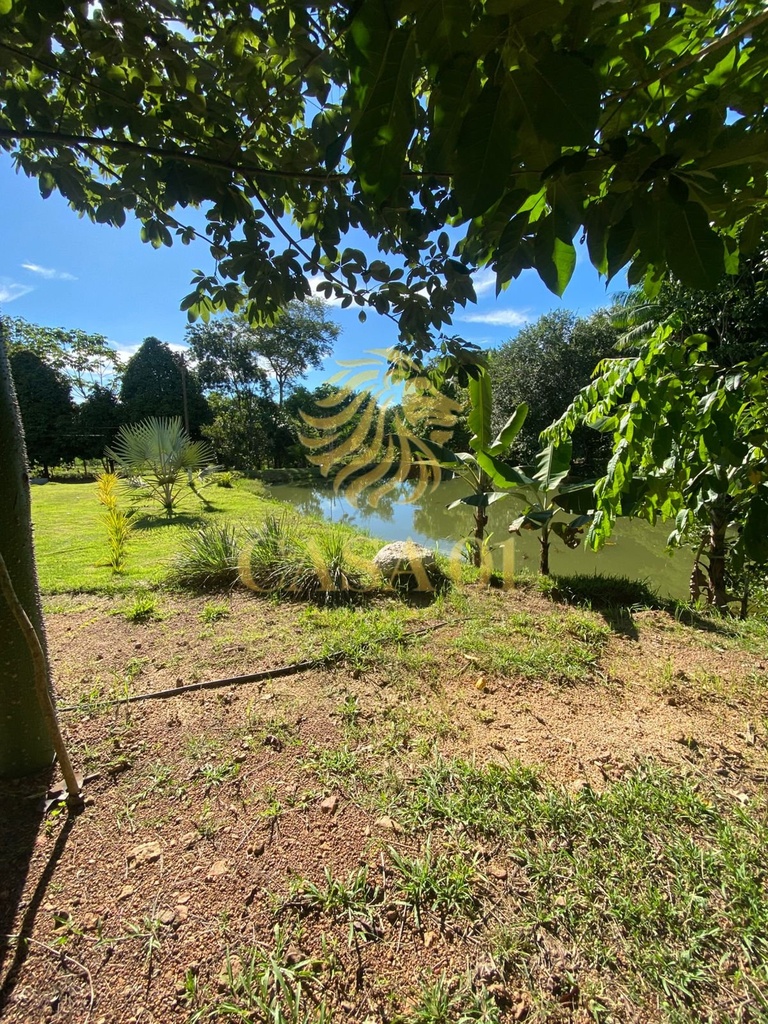 commercial-/-agricultural-2-quartos-area-rural-cacoal-ro