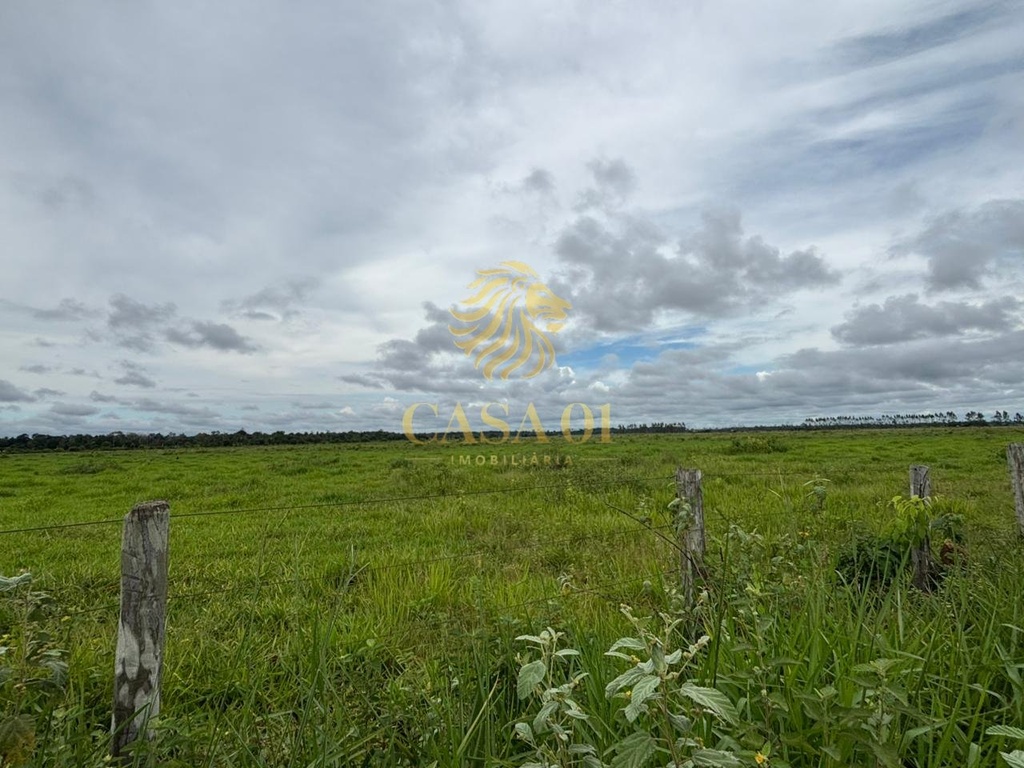 commercial-/-agricultural-area-rural-seringueiras-ro