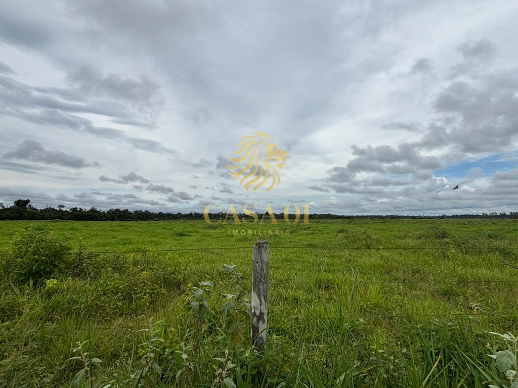 commercial-/-agricultural-area-rural-seringueiras-ro