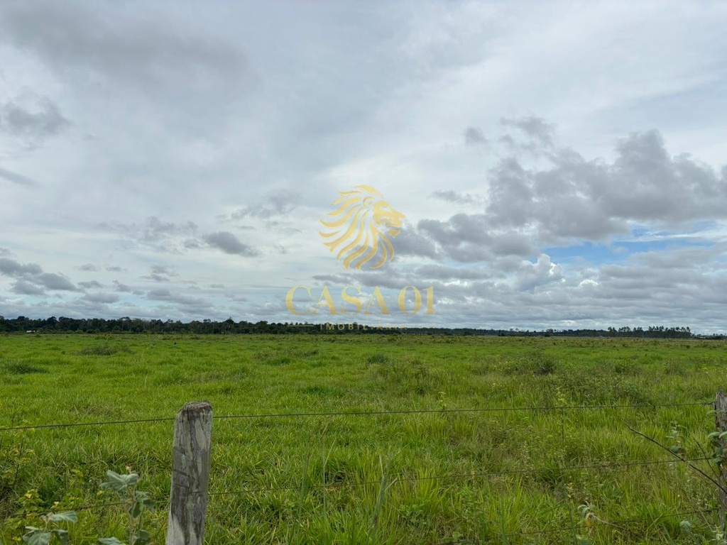 commercial-/-agricultural-area-rural-seringueiras-ro