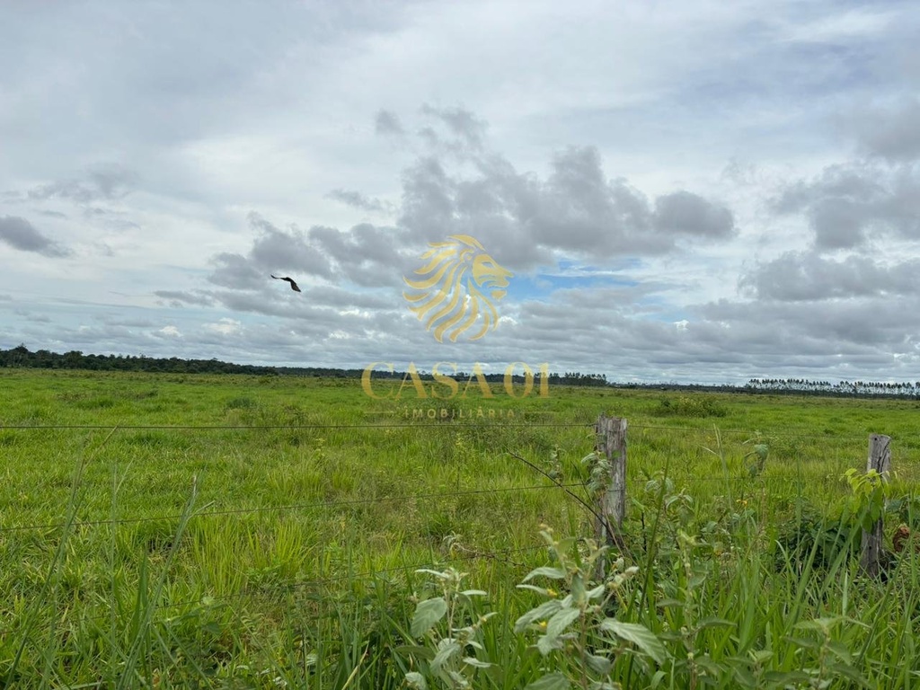 commercial-/-agricultural-area-rural-seringueiras-ro