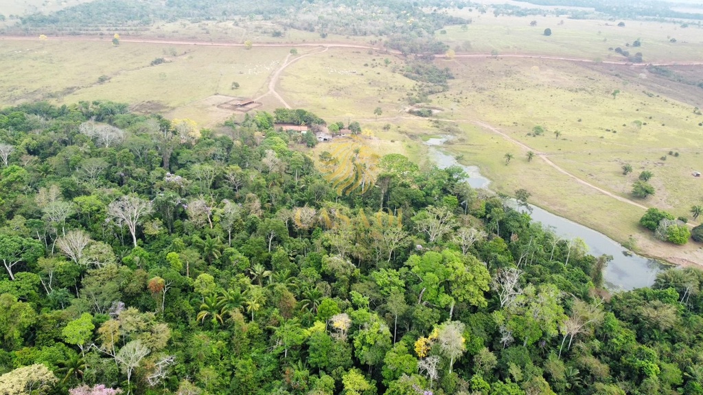 commercial-/-agricultural-area-rural-cacoal-ro