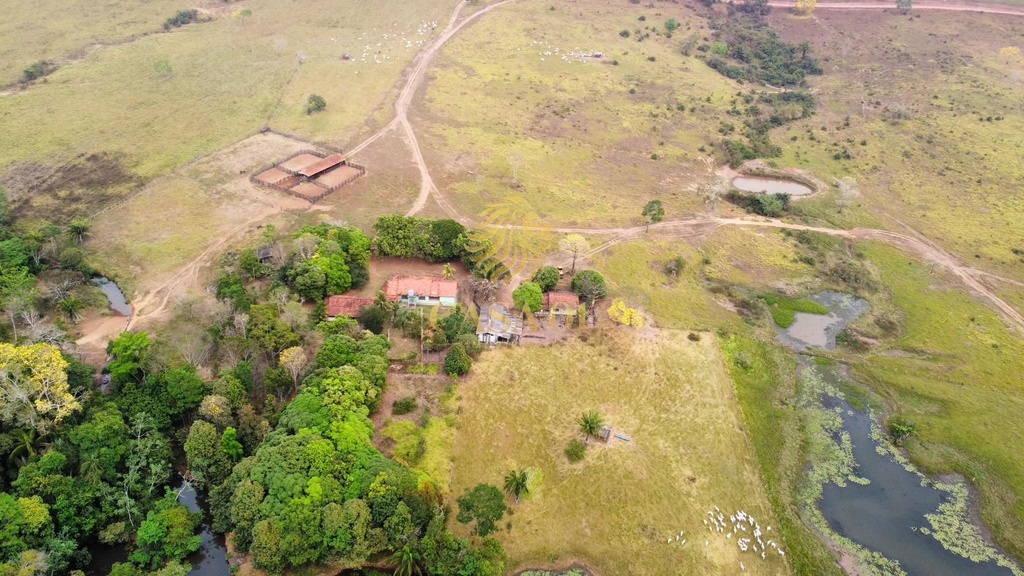 commercial-/-agricultural-area-rural-cacoal-ro