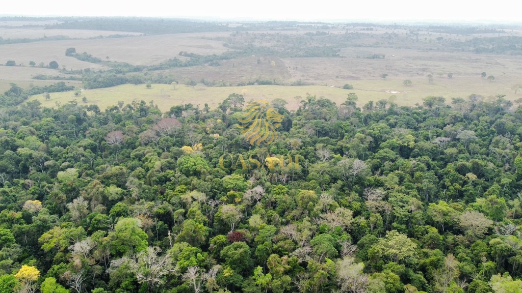 commercial-/-agricultural-area-rural-cacoal-ro