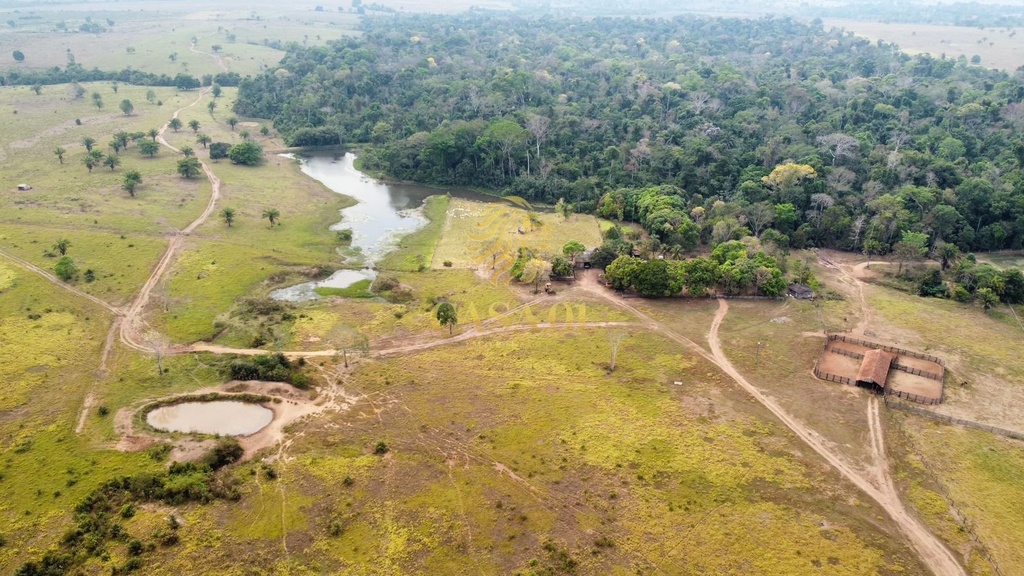 commercial-/-agricultural-area-rural-cacoal-ro