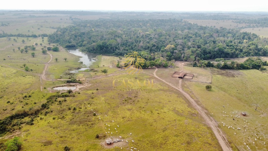 commercial-/-agricultural-area-rural-cacoal-ro