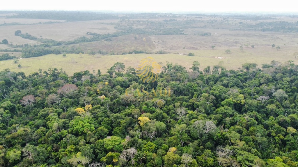 commercial-/-agricultural-area-rural-cacoal-ro