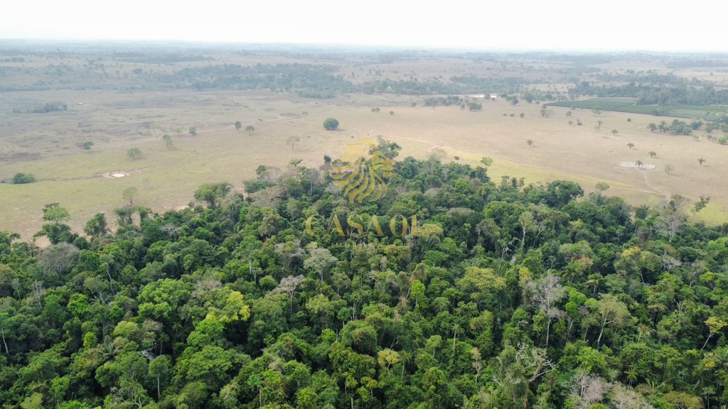 commercial-/-agricultural-area-rural-cacoal-ro