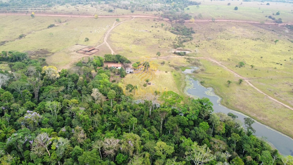 commercial-/-agricultural-area-rural-cacoal-ro