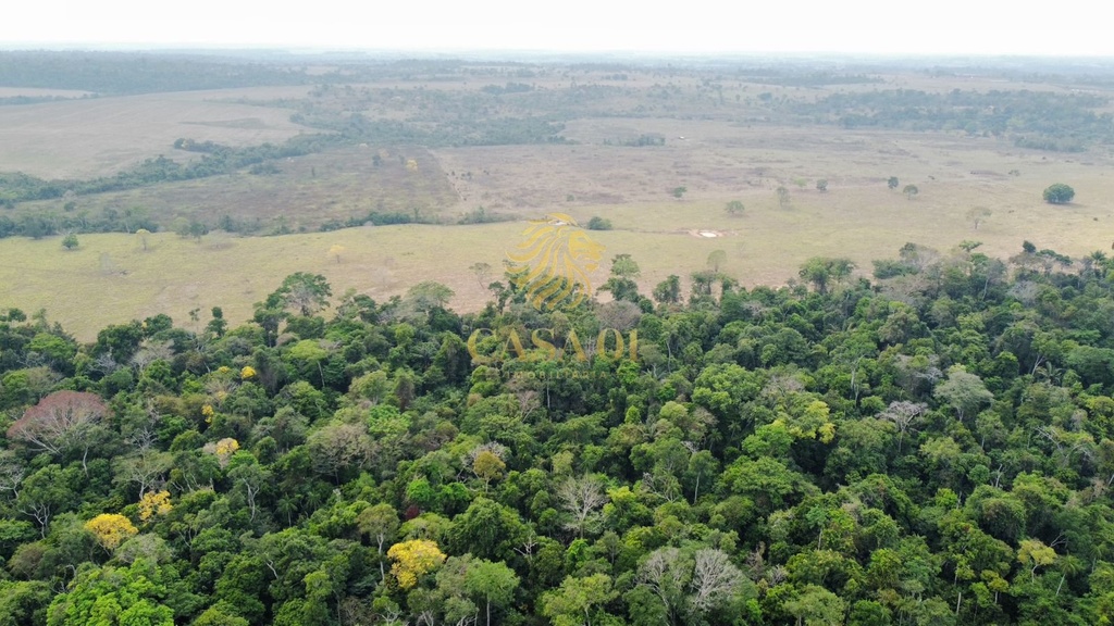 commercial-/-agricultural-area-rural-cacoal-ro