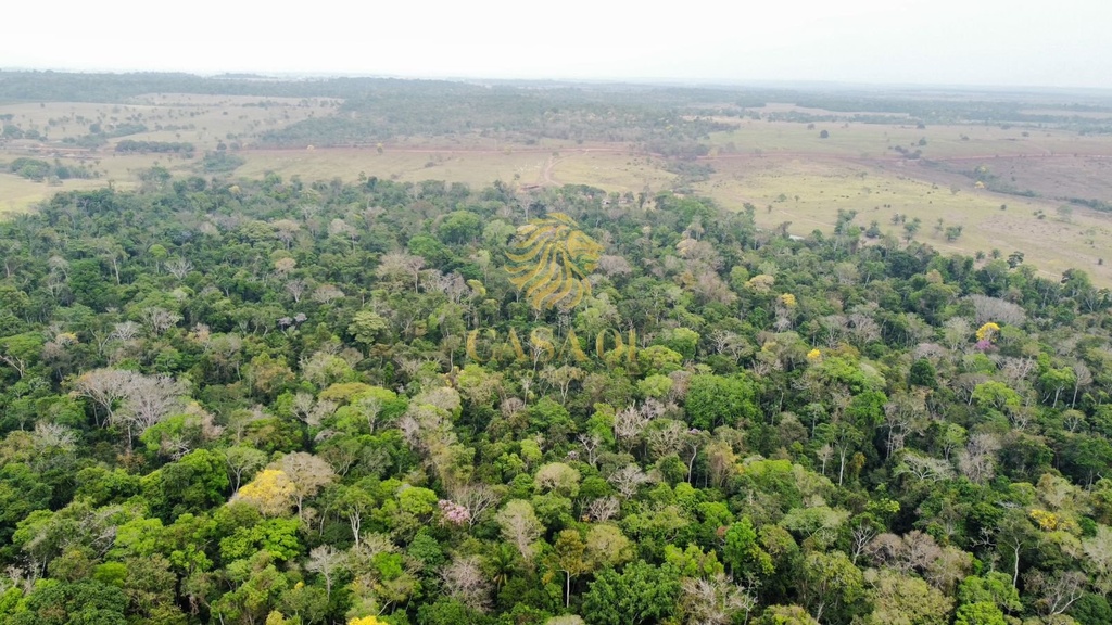 commercial-/-agricultural-area-rural-cacoal-ro