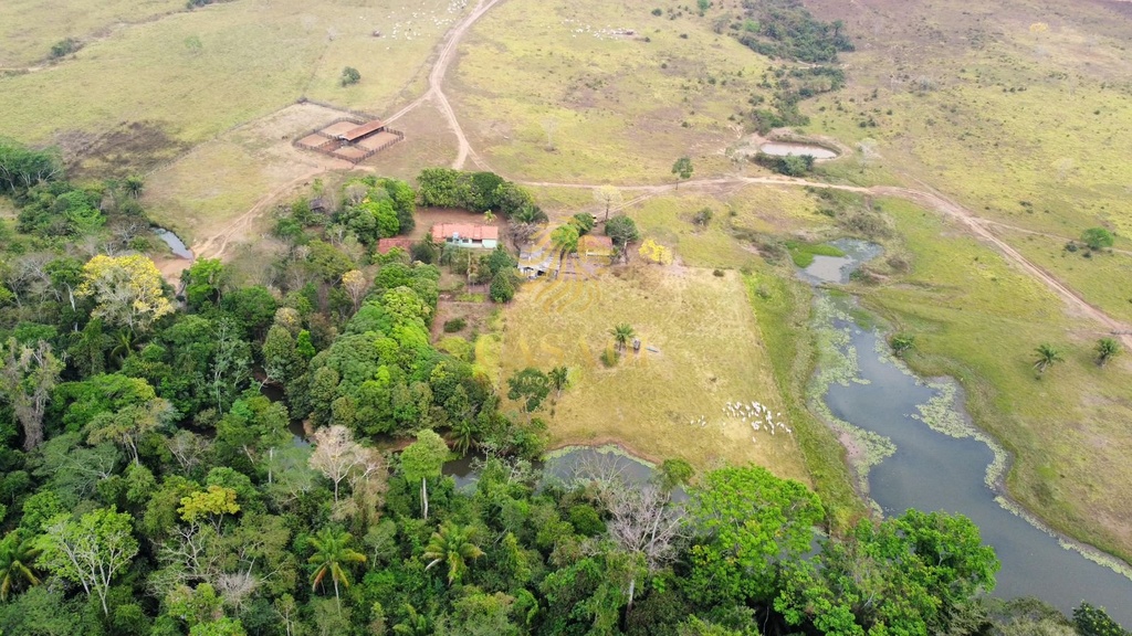 commercial-/-agricultural-area-rural-cacoal-ro