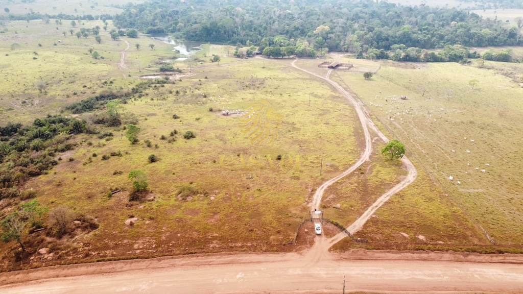 commercial-/-agricultural-area-rural-cacoal-ro