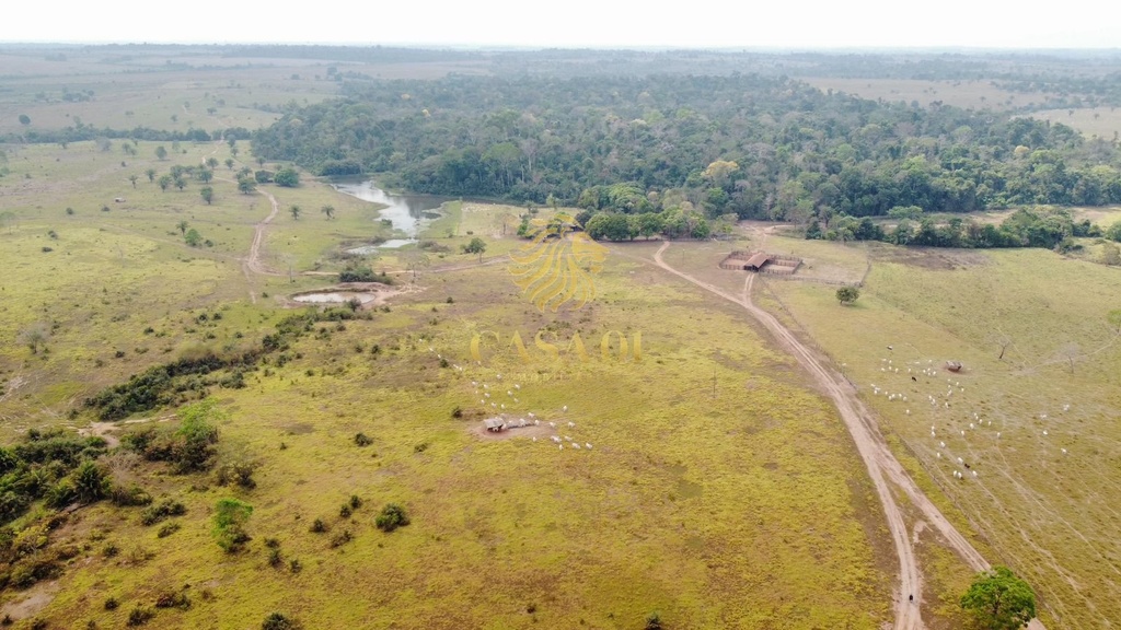 commercial-/-agricultural-area-rural-cacoal-ro