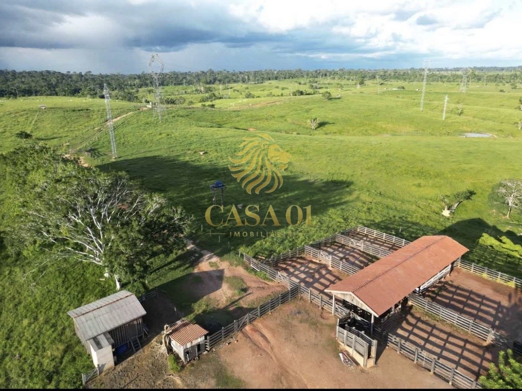 commercial-/-agricultural-area-rural-porto-velho-ro