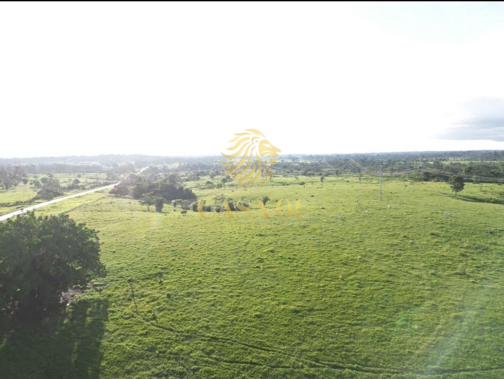 commercial-/-agricultural-area-rural-porto-velho-ro