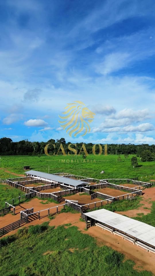 commercial-/-agricultural-area-rural-itapua-do-oeste-ro