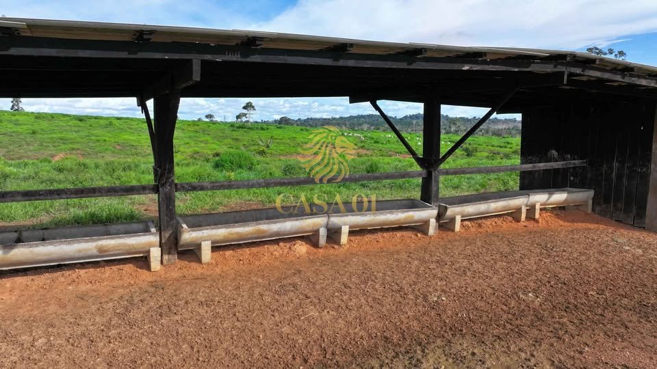 commercial-/-agricultural-area-rural-itapua-do-oeste-ro
