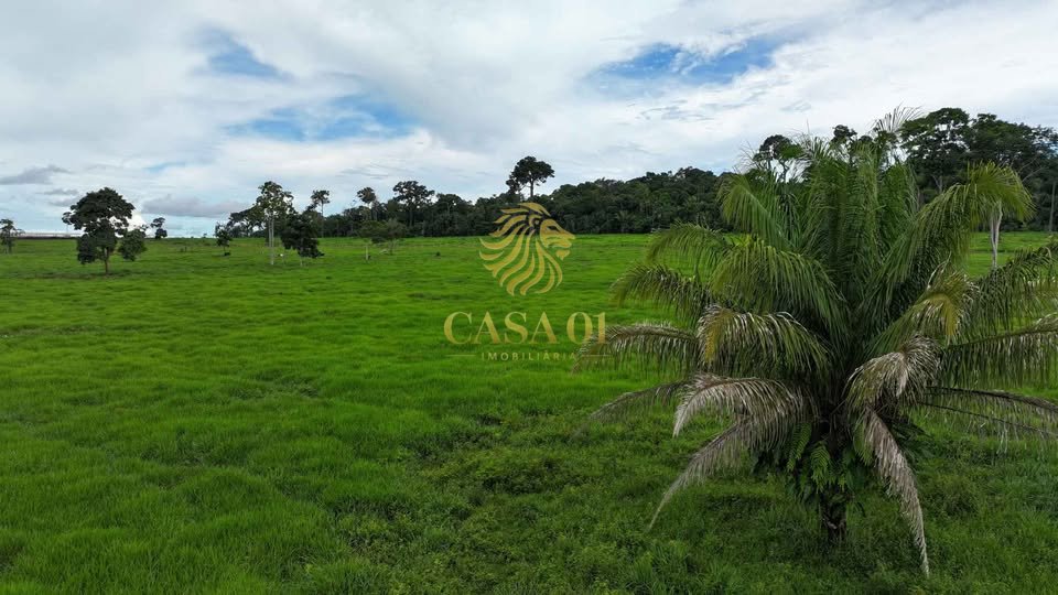 commercial-/-agricultural-area-rural-itapua-do-oeste-ro