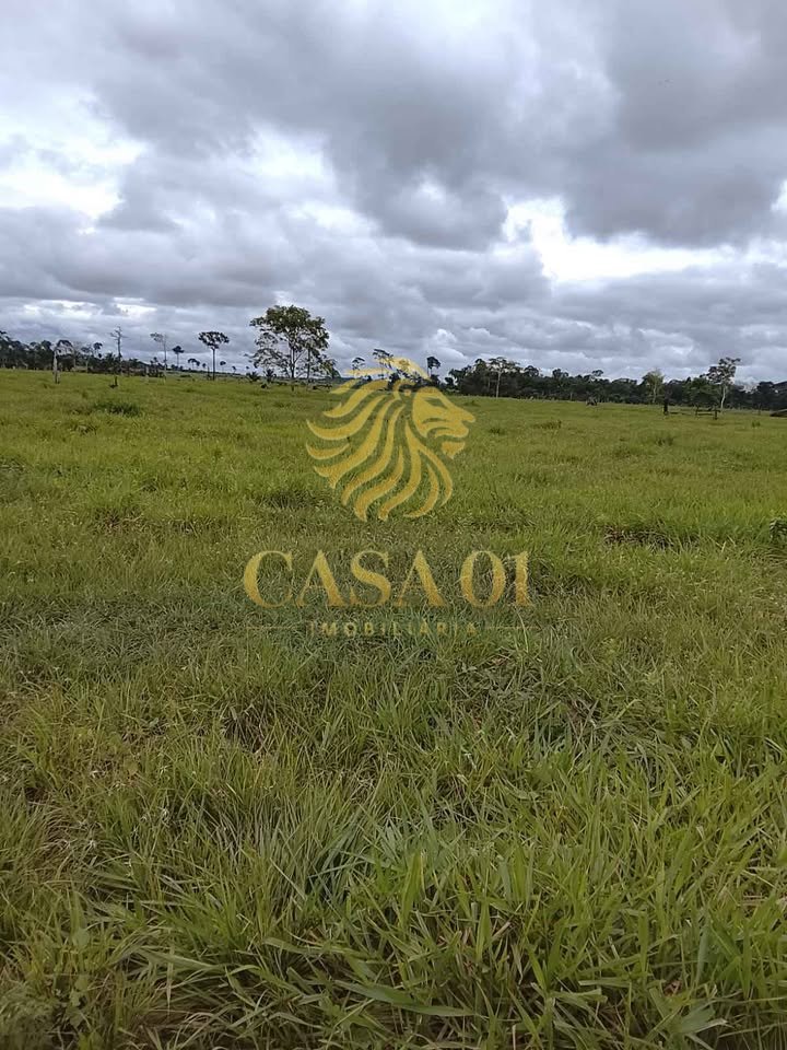 commercial-/-agricultural-area-rural-itapua-do-oeste-ro
