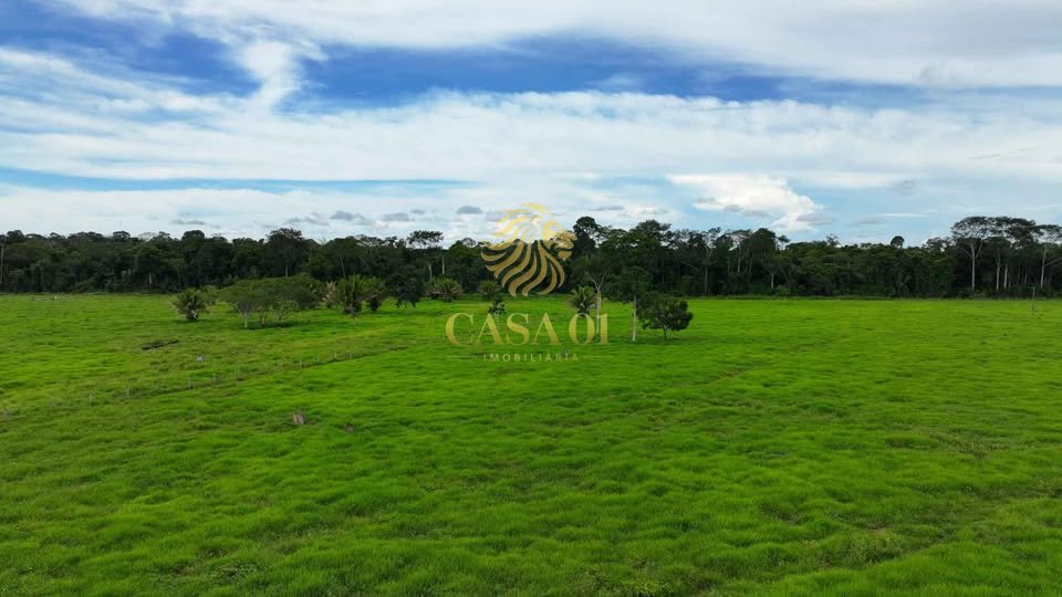commercial-/-agricultural-area-rural-itapua-do-oeste-ro