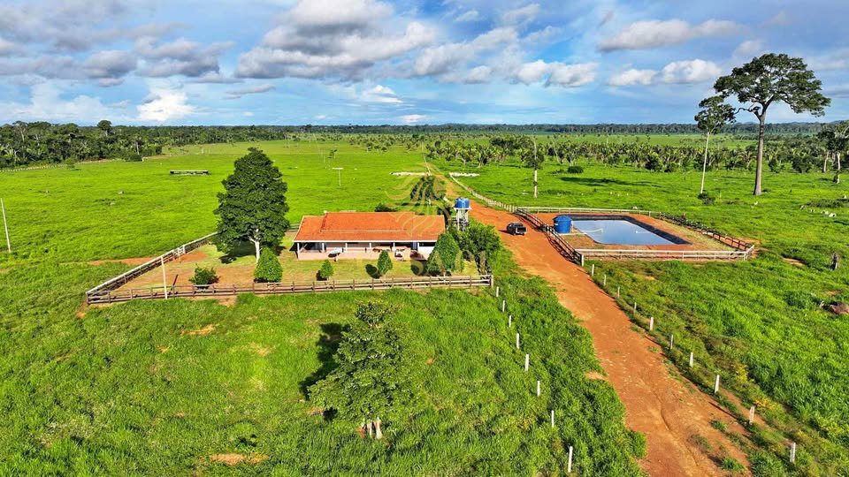 commercial-/-agricultural-area-rural-itapua-do-oeste-ro