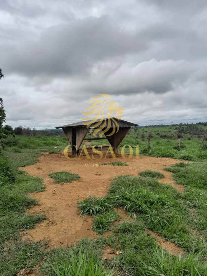 commercial-/-agricultural-area-rural-vale-do-anari-ro
