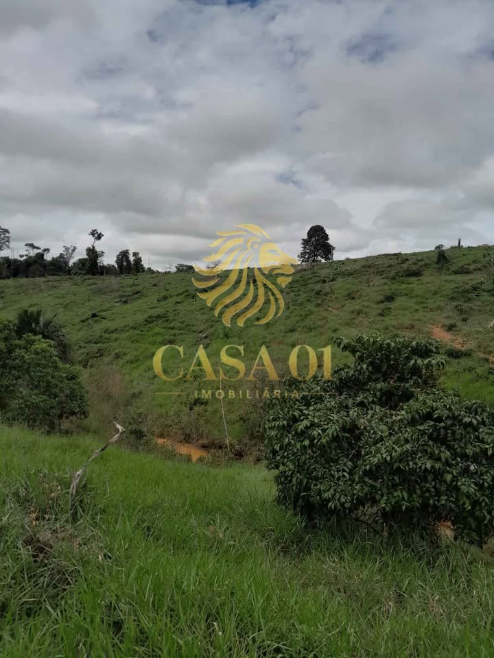 commercial-/-agricultural-area-rural-vale-do-anari-ro