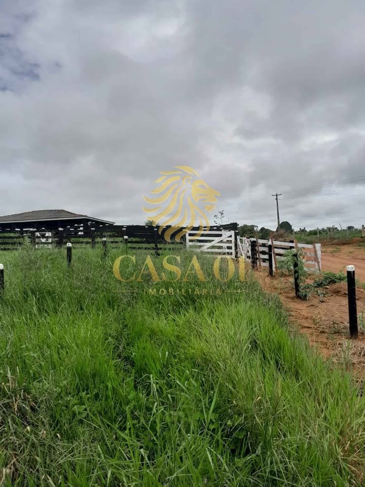 commercial-/-agricultural-area-rural-vale-do-anari-ro