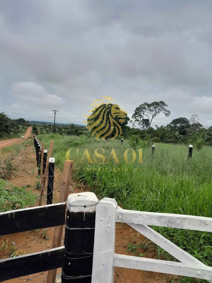 commercial-/-agricultural-area-rural-vale-do-anari-ro