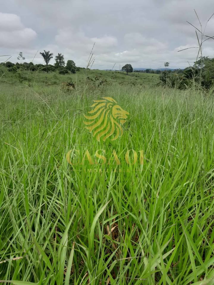 commercial-/-agricultural-area-rural-vale-do-anari-ro