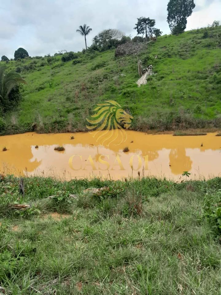 commercial-/-agricultural-area-rural-vale-do-anari-ro
