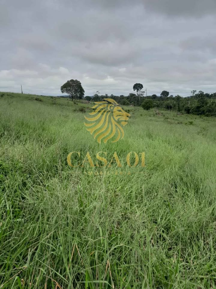 commercial-/-agricultural-area-rural-vale-do-anari-ro